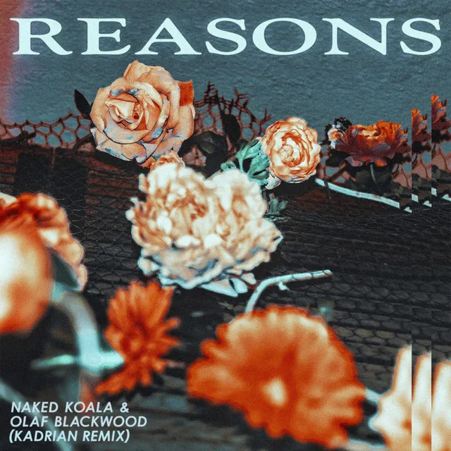 Reasons (Kadrian Remix)