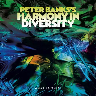 Peter Banks's Harmony in Diversity: What is This? by Peter Banks