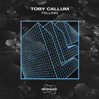 Falling by Toby Callum