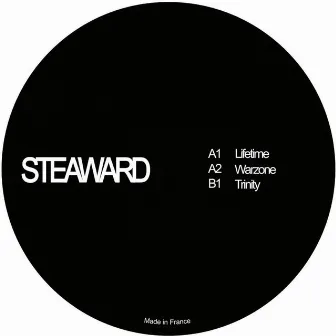 Lifetime by Steaward