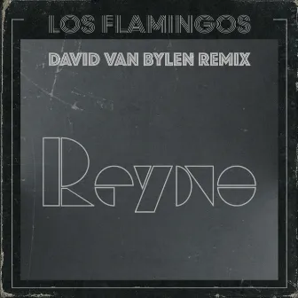 Reyno (David Van Bylen Remix) by Los Flamingos