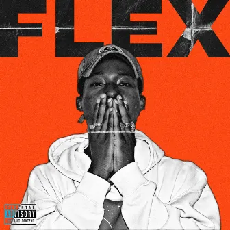 Flex by WNTR