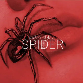 Spider by Jaiden Stylez