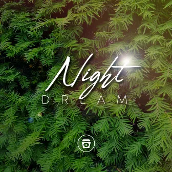 Night Dream by Jungle Sounds