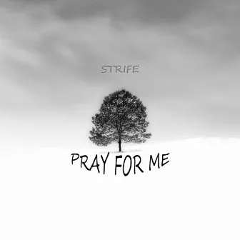 Pray For Me by Strife