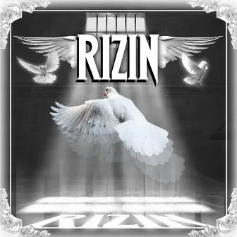 Rizin by Rizin