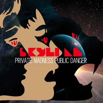 Private Madness Public Danger by Skyline