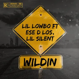 Wildin by Lil Lowbo