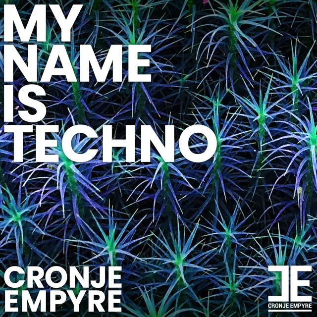 My Name Is Techno