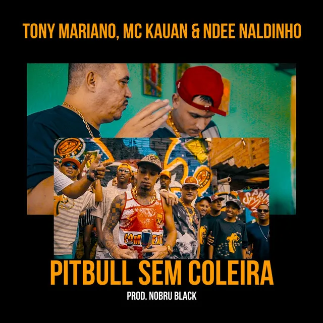 Pitbull Sem Coleira