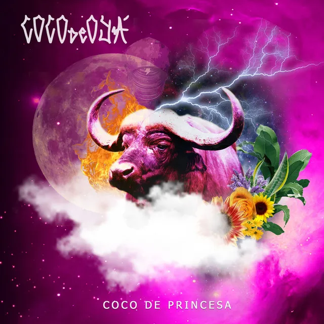 Coco de Princesa