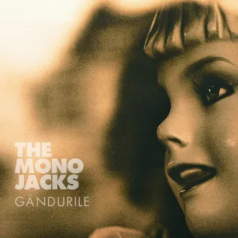 Gândurile (Remixed) by The Mono Jacks