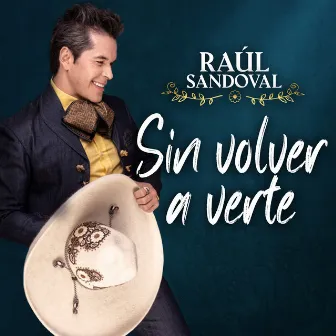 Sin Volver a Verte by Raul Sandoval