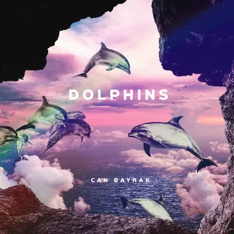 Dolphins by Can Bayrak