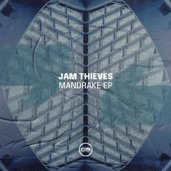 Mandrake EP by Jam Thieves