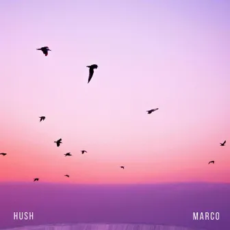 Hush by Marco