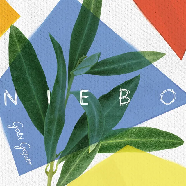 NIEBO Live Session