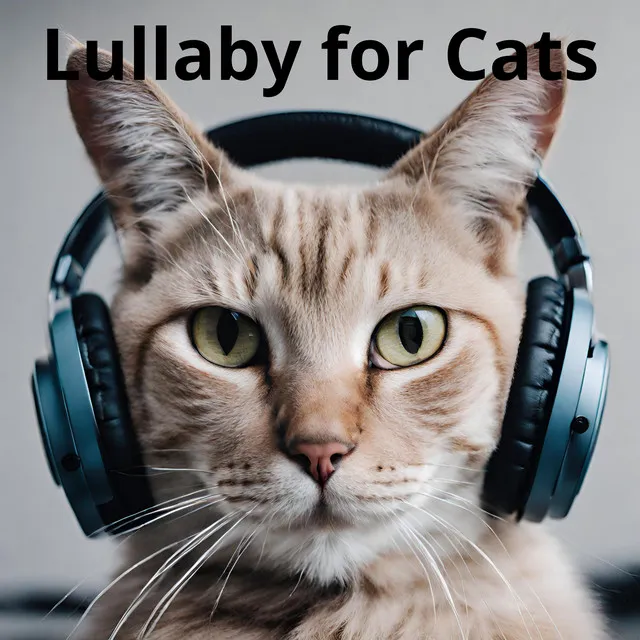 Lullaby for Cats: Help Your Cat Sleep Soundly with Soothing Nature Sounds