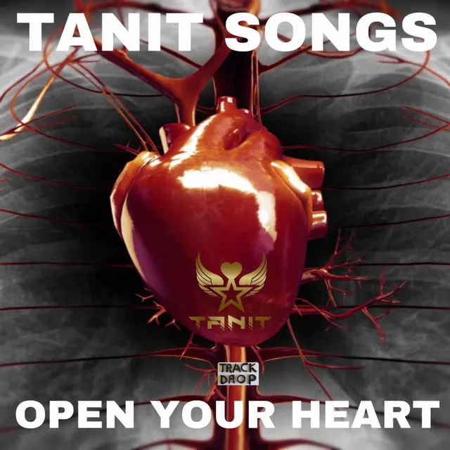 Open Your Heart