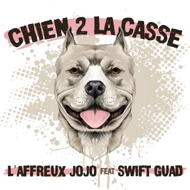 Chien 2 la casse