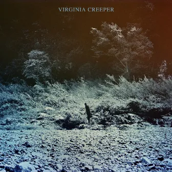 Virginia Creeper by Greg Leisz