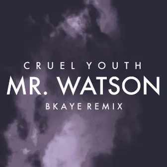 Mr. Watson (BKAYE Remix) by Cruel Youth