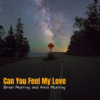 Can You Feel My Love by Anna Murray