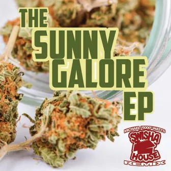 Sunny Galore (Swishahouse Remix) by Sunny Galore