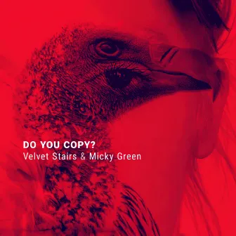 Do You Copy? by Micky Green