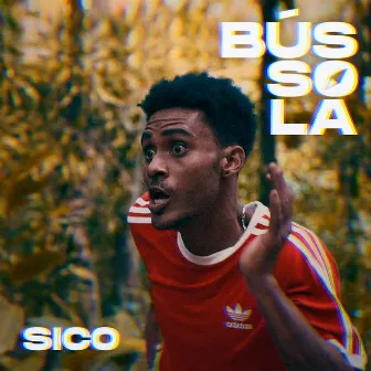 Bússola by Sico