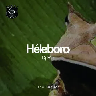 Héleboro by DJ Rigi