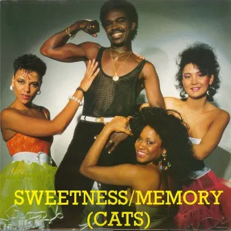 Memory (Cats) by Sweetness