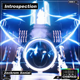 Introspection by Zeckrom Xenial