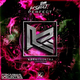 Perfect by D.M. Project