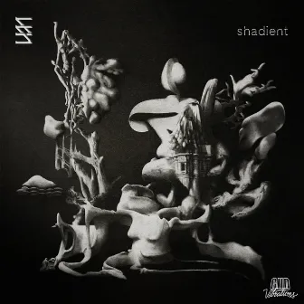 Infinite Structure EP by Shadient