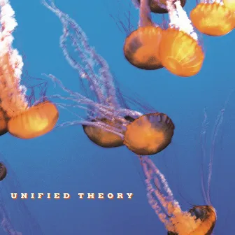 Unified Theory by Unified Theory