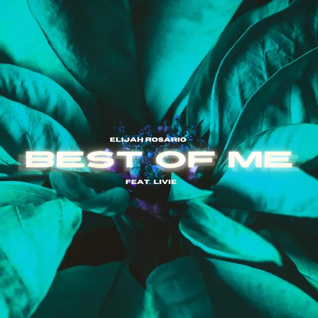 Best of Me