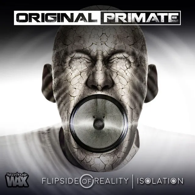 Flipside Of Reality - Original Mix