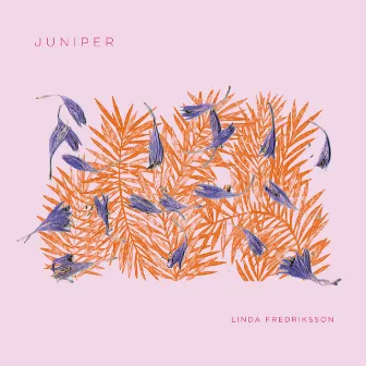 Juniper by Linda Fredriksson