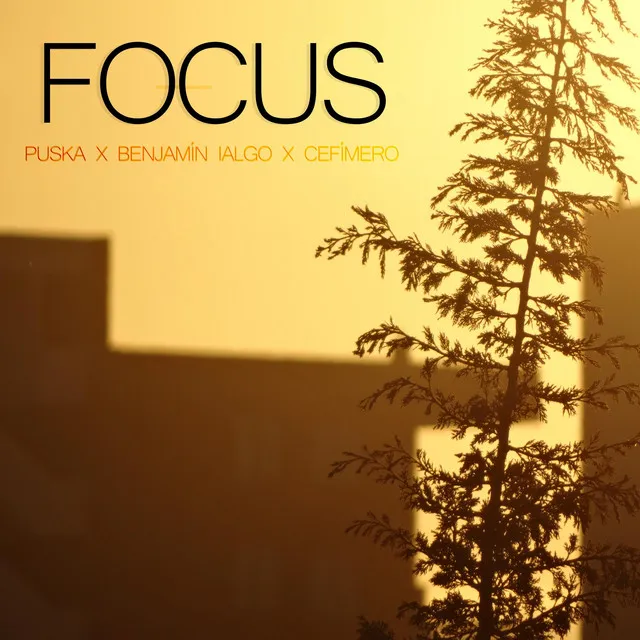 Focus