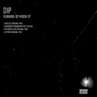 Running By Moon EP by Dip