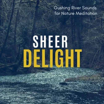 Sheer Delight - Gushing River Sounds For Nature Meditation by Harmonious and Peaceful Mantra