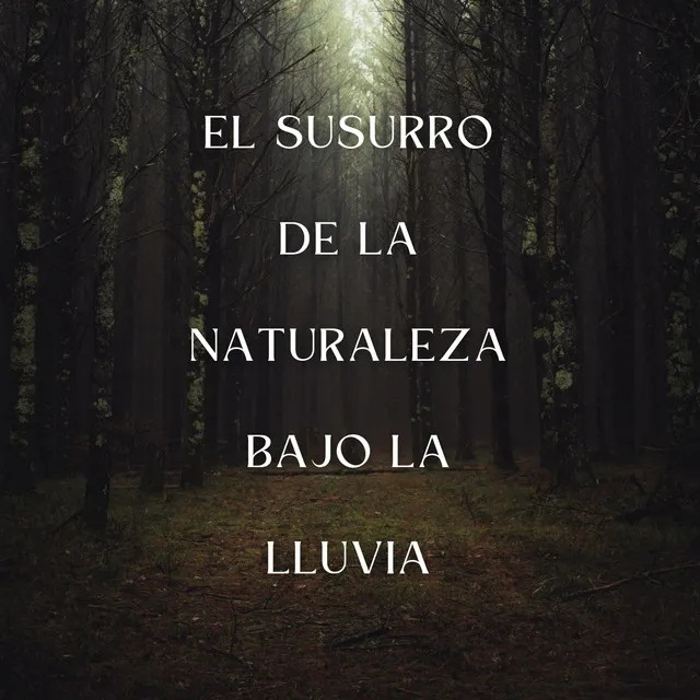 El Susurro De La Naturaleza Bajo La Lluvia