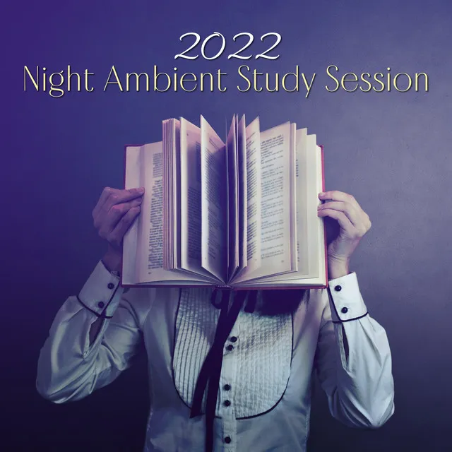 2022 Night Ambient Study Session: Concentration Meditation