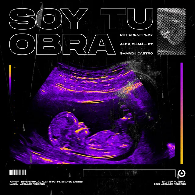 Soy Tu Obra