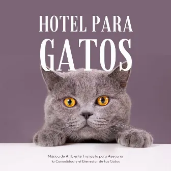 Hotel para Gatos: Música de Ambiente Tranquila para Asegurar la Comodidad y el Bienestar de tus Gatos by Private Cabana