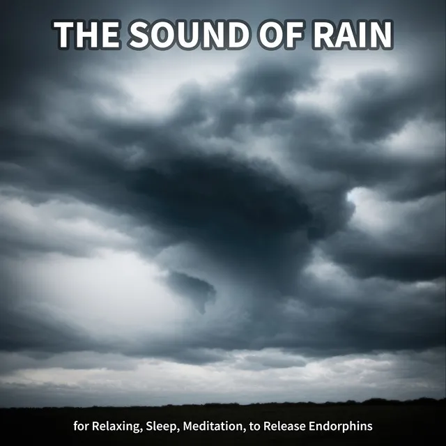 Meditation Rain Sounds