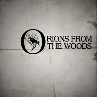 Pieces of Despair by Orions from the woods