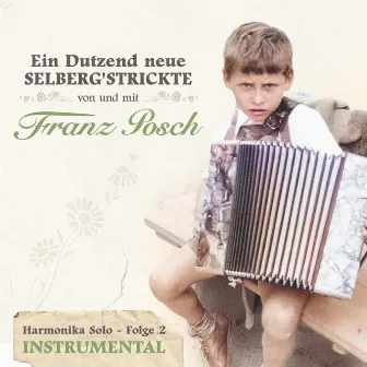 Ein Dutzend neue Selberg’strickte von und mit - Harmonika Solo - Folge 2 - Instrumental by Franz Posch