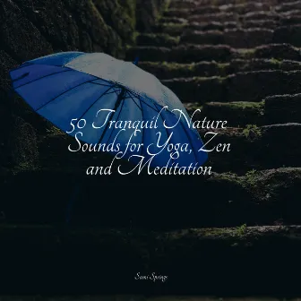 50 Tranquil Nature Sounds for Yoga, Zen and Meditation by Natural Rain Sounds for Sleeping